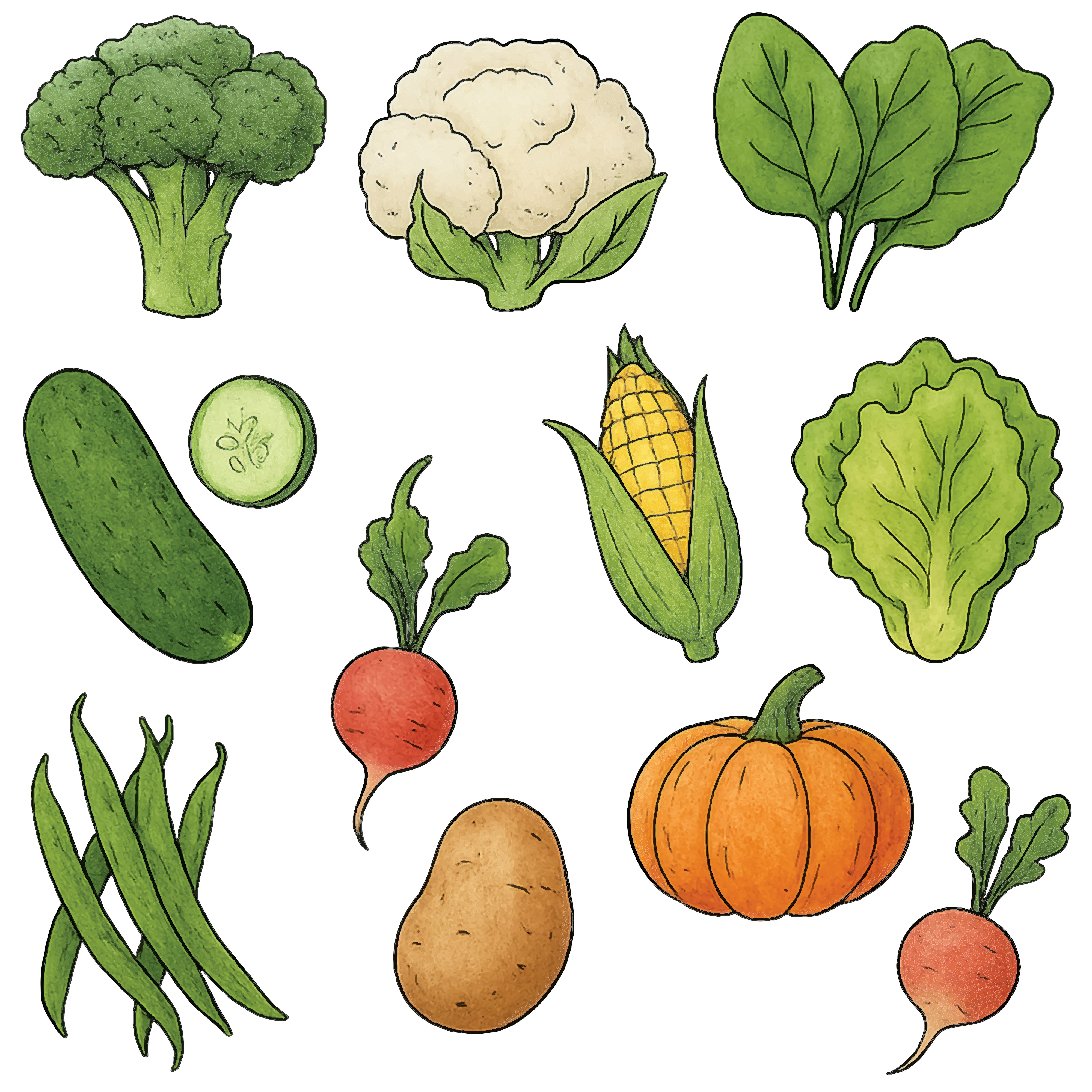 Vitamin B12 Benefits: Signs of Deficiency, Food Sources, and Supplements