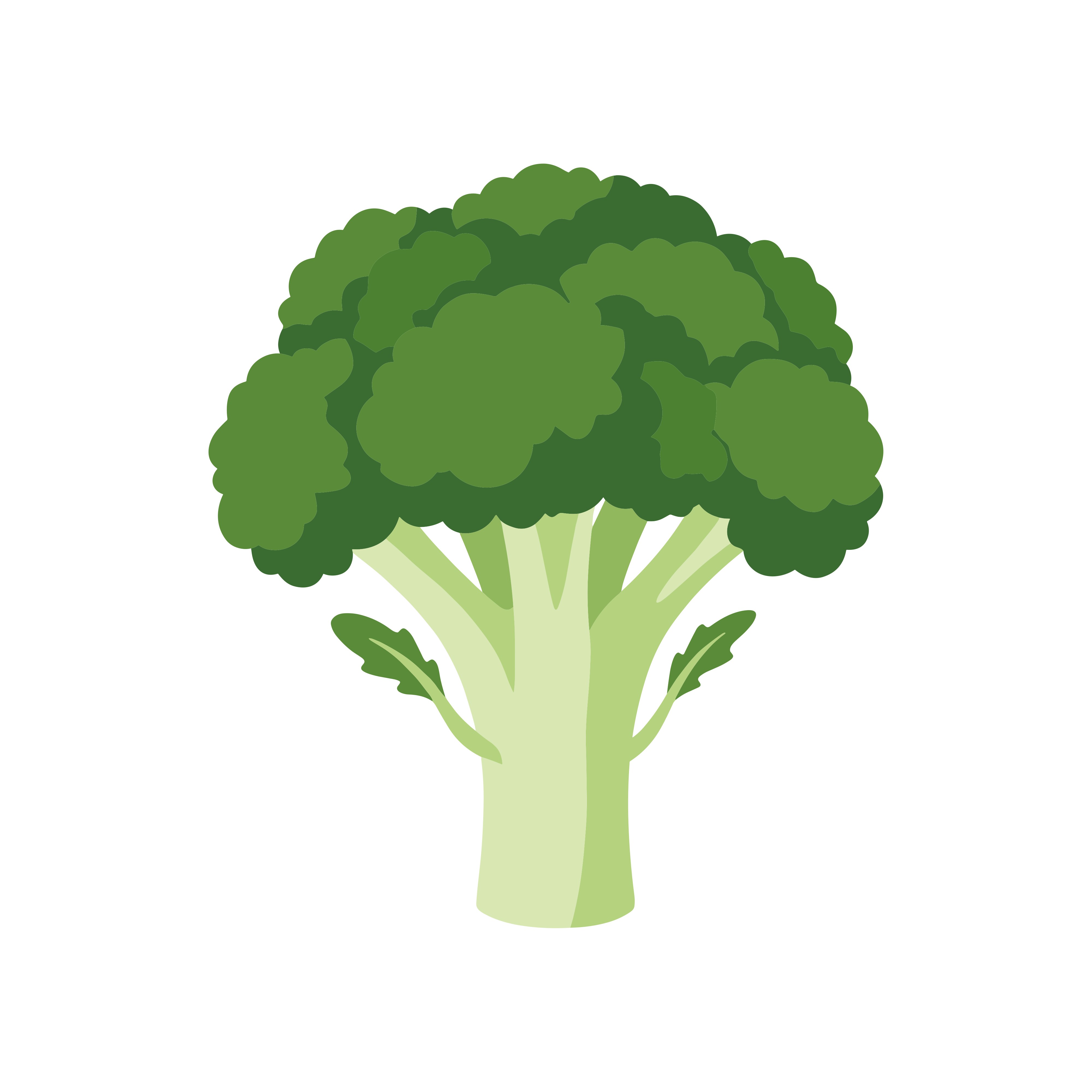 Supplements for Anti-Aging: Nutrients That May Support Healthy Aging