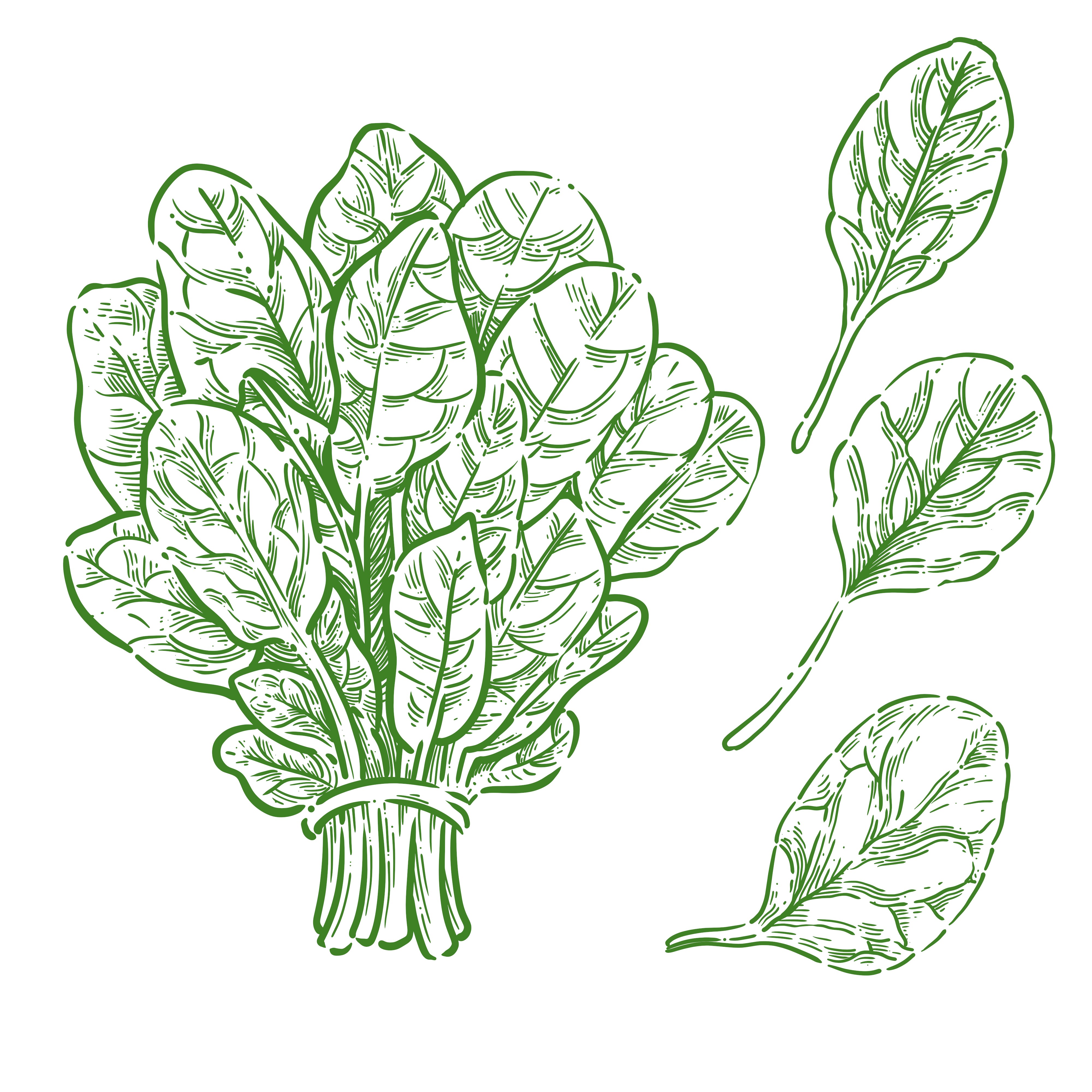Selenium Benefits: How This Mineral Supports Immunity and Thyroid Health