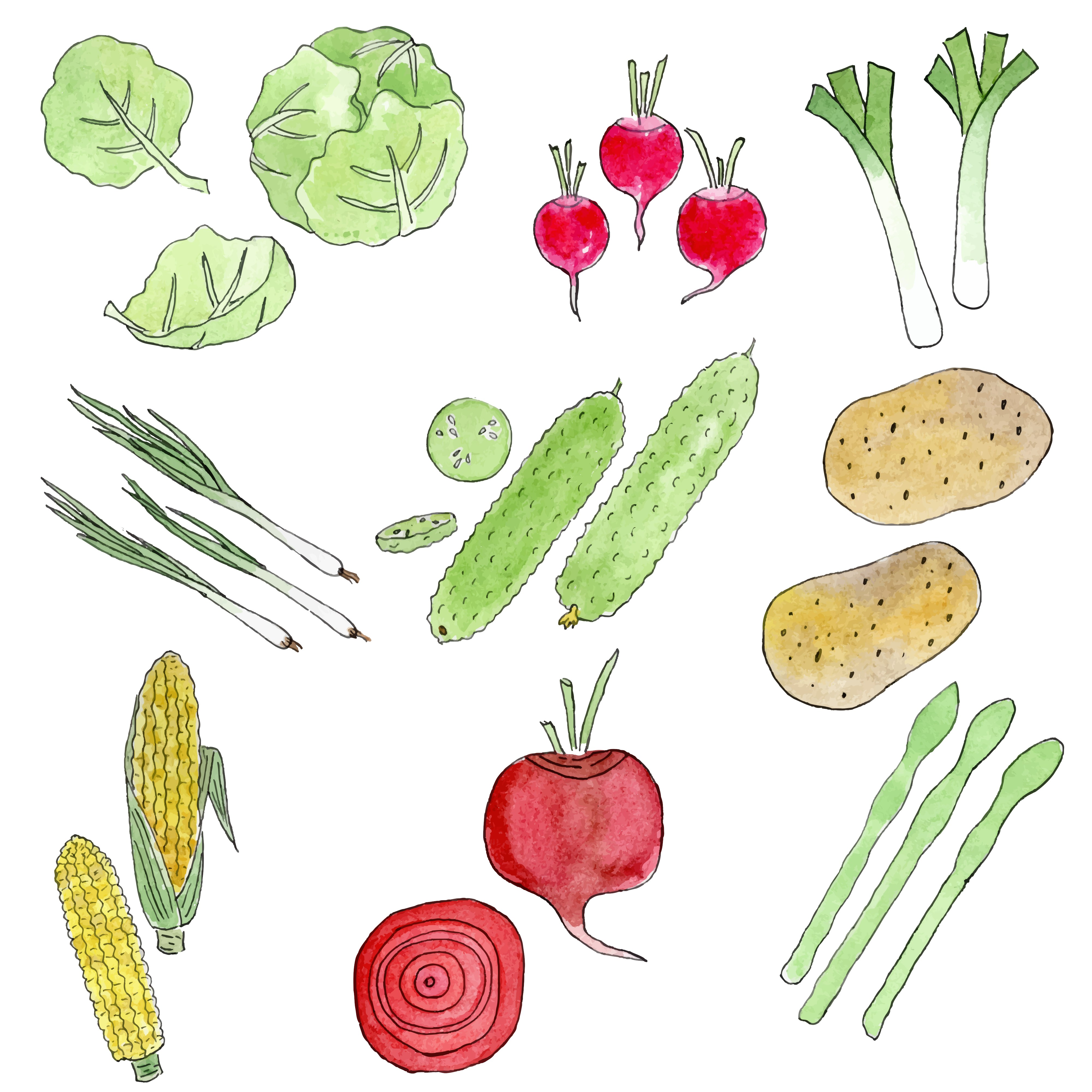 Best Foods High in Iron: Healthy Foods to Support Your Iron Intake