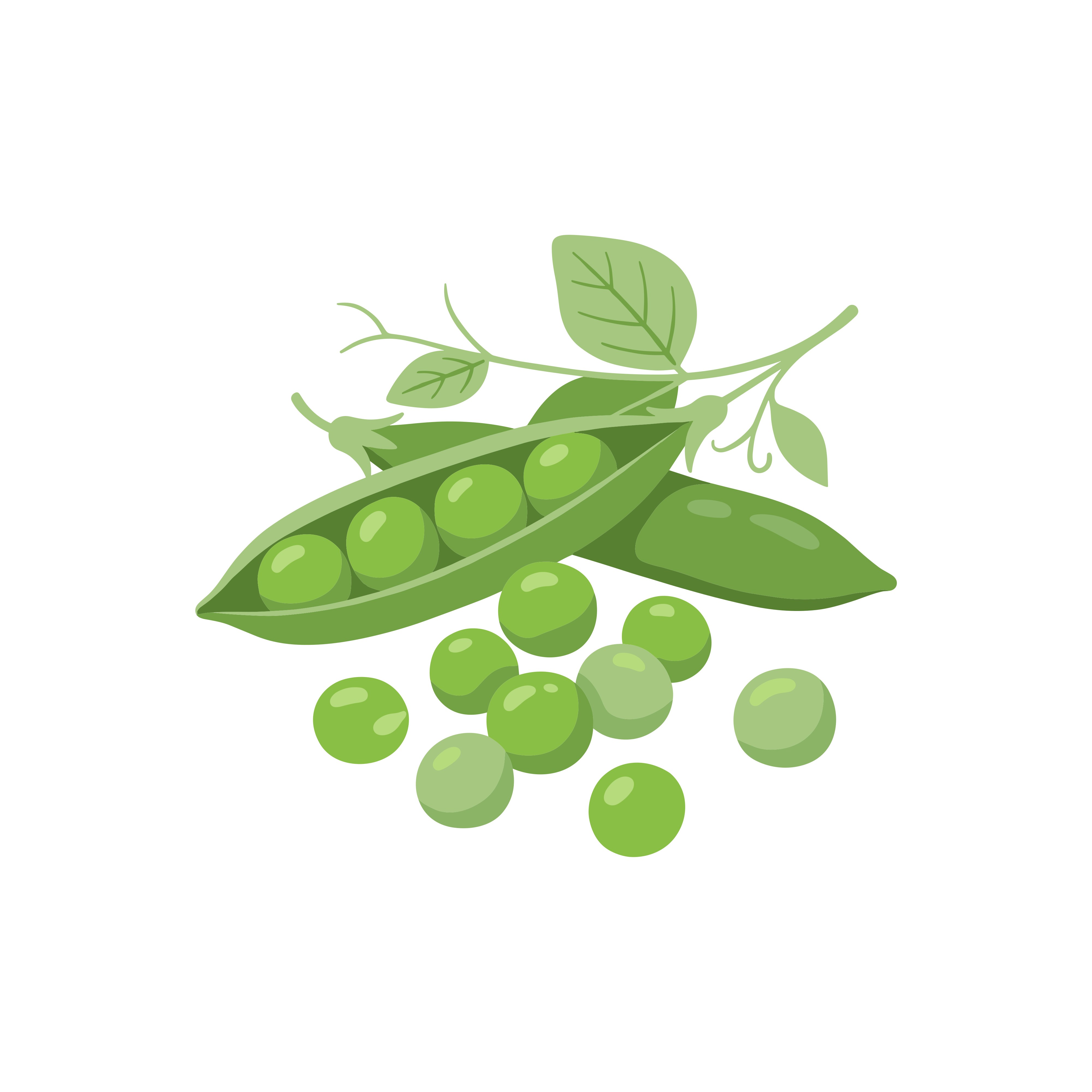 Best Supplements for Immunity: Vitamins and Minerals to Know